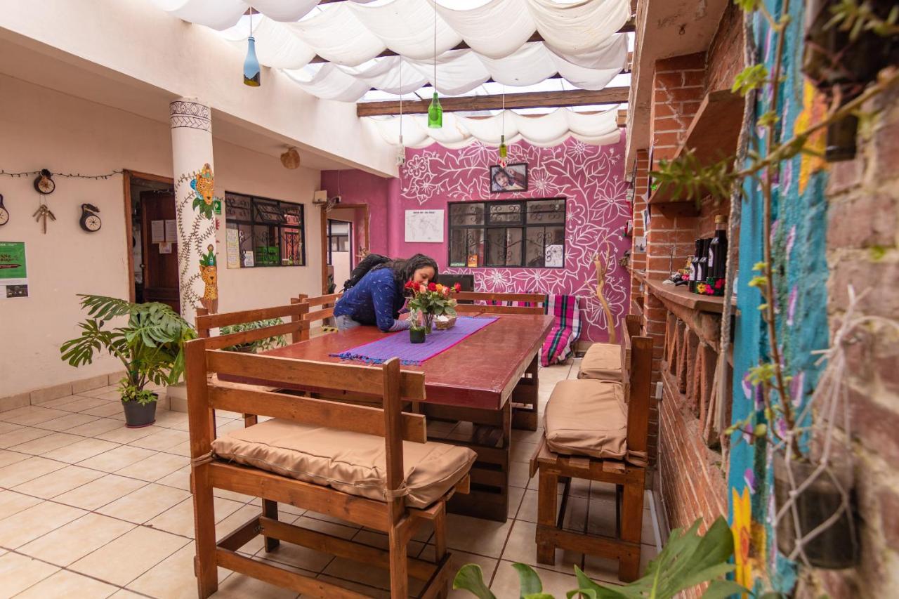 Mirador Auberge de jeunesse San Cristóbal de Las Casas
