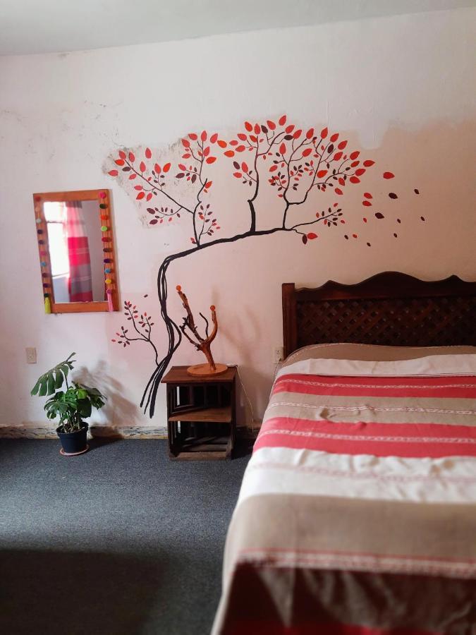 Auberge de jeunesse Mirador *